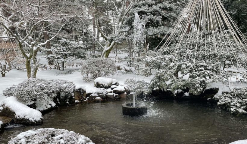雪が積もる木や池