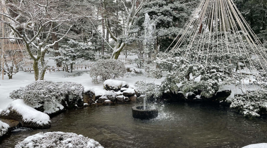 雪が積もる木や池